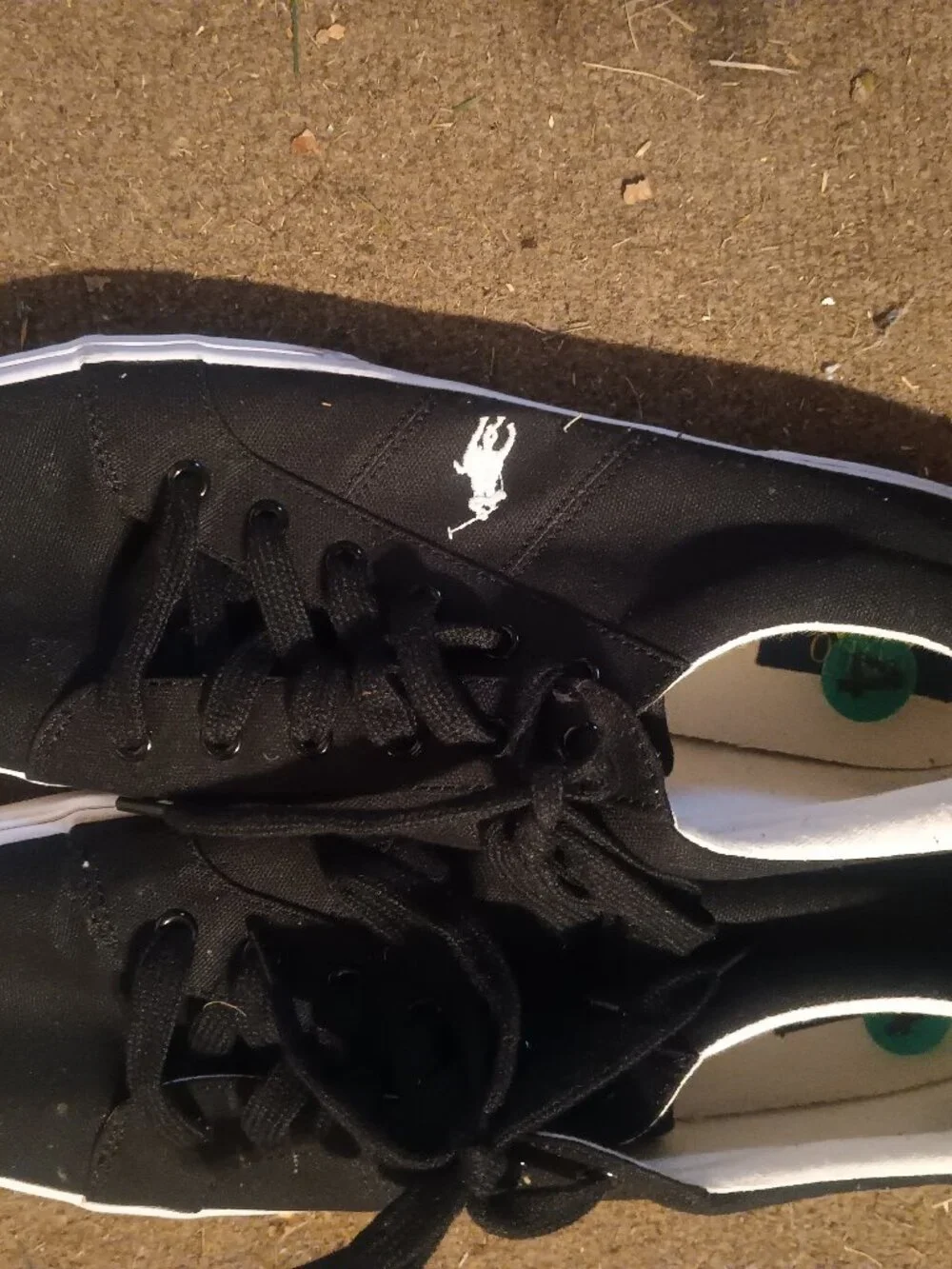 Shoes | Polo By Ralph Lauren Sneakers | Poshmark